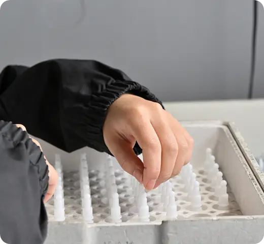 採用情報_写真